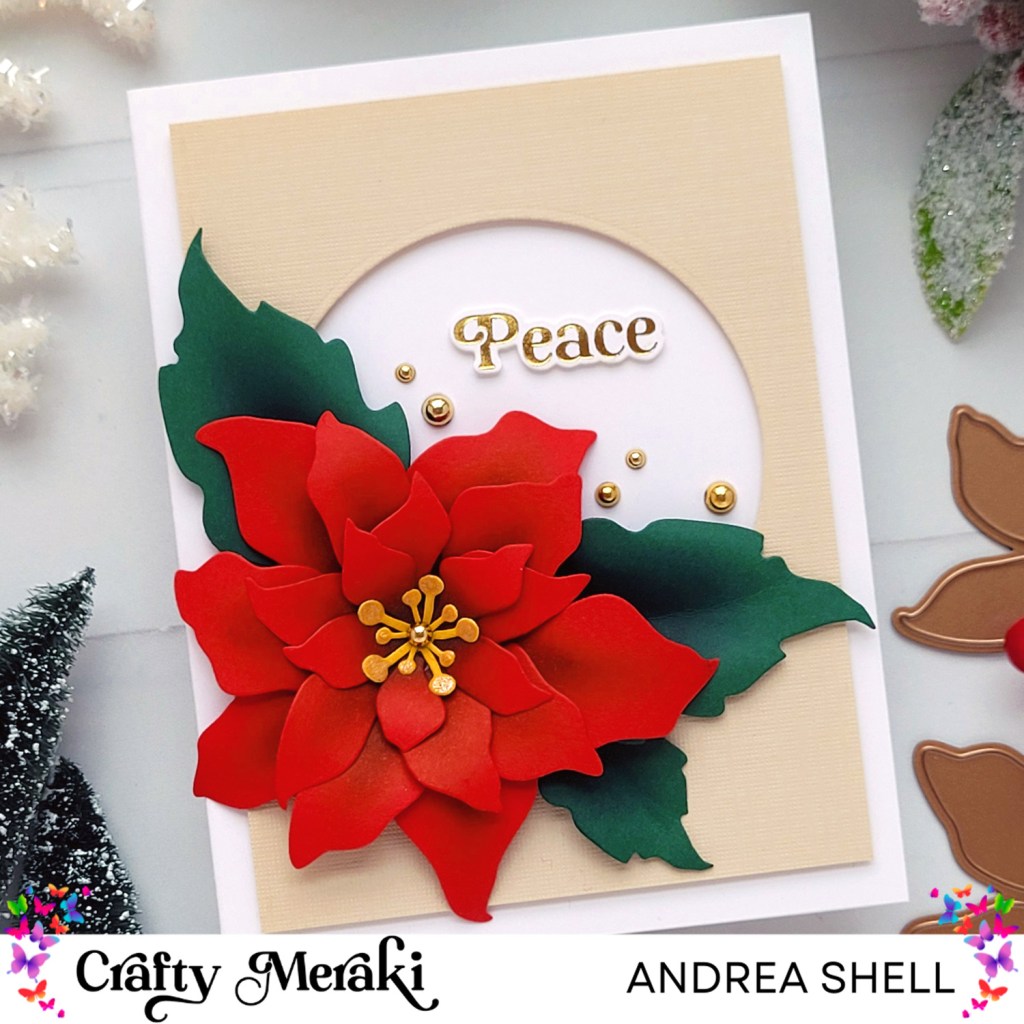 Peaceful Poinsettia